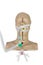 High angle view Medical simulation training of tracheal intubation. artificial ventilation of the lungs white background with