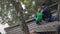 High angle view of people father and son fishing in pond in forest sitting on chairs on wooden pier and holding rods