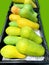 High angle view photo of fresh unpeeled ripe papayas pile in black plastic isolated on green, as green-and-yellow fruit background