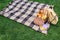 high angle view of picnic basket, backpack and books on plaid