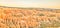 High angle view of rock formation, Bryce Canyon National Park, Utah