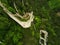 high angle view to a castle ruin in the woods