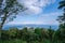 High angle view, trees and white clouds under the blue sky