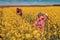 High angle view of two farm workers examining crops in blooming rapeseed field on bright sunny spring day