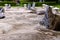 High angle wide shot of ignite rocks in a Zen garden on a cloudy morning. Zen concept