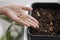 high angle woman holding seeds planting with pot. High quality beautiful photo concept