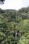 High atop a cliff, overlooking a rainforest and Puohokamoa Falls in Haiku, Maui, Hawaii