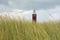 High Beach grass with lighthouse Westhoofd in Ouddorp in the Netherlands