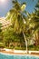 High, beautiful palm trees rostut poolside, around a luxury hotel. tropics asia