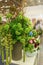 High bouquet of amaranth and hydrangeas color UFO Green, decorated with branches of exotic vines. Novelties of modern selection of