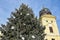 High christmas tree next to the church tower