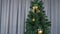 High christmas tree standing at living room at home. Red top on fir tree. Golden decoration on green branches of spruce