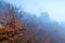 High cliff and gloomy bare branches of trees