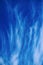 High cloud (altocumulus) in form of bird feathers