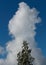 High cloud and birch tree top against clear blue sky