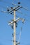 High constrast electric pole in blue sky