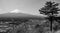 High contrast black and white landscape of Mount Fuji and a lone pine tree in Japan