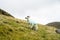 High country farming Slieve Mish Mountains, Ireland