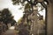 High Cross of the scriptures and cathedral GLASNEVIN CEMETERY . DUBLIN. IRELAND