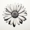 High-definition Black And White Daisy Ink Illustration