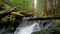 High Definition Movie of Long Exposure Water Flowing at Panther Creek Falls in Skamania County Washington 1920x1080