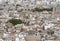 High density area view in palma de mallorca