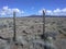 High desert bird house