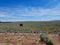 High desert plains in central Oregon, USA