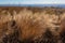 High desert power turbine wind farm