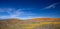 High desert sky over California Golden Orange Poppies and yellow sage near Lancaster CA