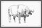 High detail hand drawn vector of water buffalo