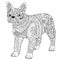 High detail patterned french bulldog.