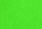 High detail scan of a paper texture background with fine fiber grain bright, neon green uncoated bond paper for wallpaper and