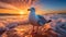 High-detailed Seagull Beach Portrait At Sunset