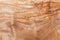 High detailed texture of olive wood background.