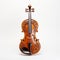 High Detailed Violin With Ornaments On White Background