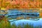 High Dynamic Range of a boat dock and fall colors