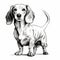 High Dynamic Range Dachshund Dog Drawing - Clean And Sharp Inking