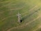 High electricity tower on farmland rapeseed field, aerial