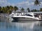 High-end cabin cruiser and charter sport fishing boats