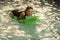 High fashion portrait of elegant woman. Beautiful woman in water with green Inflatable crocodile