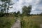 High Fens, Hautes Fagnes, at the eifel national park