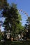 High Ferris wheel in the Park. family vacation concept