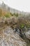 High flow of creek Bystricka near Bystrice pod Hostynem town in east Moravia