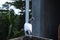 The high flyer pigeon bird natural photo