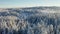 High flying camera tilt up over large frozen wood landscape in the cold winter