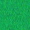 High Green grass field texture