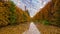 High hedge, clouds and its reflection in the pond at the Oliwa Park in the autumn scenery.