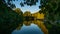 High hedge and its reflection in the pond, Oliwa Park.