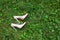 High-heeled shoes lying on the grass. bad or wrong shoes for trekking or hiking, walking in the forest.